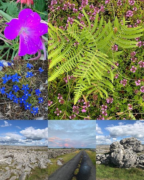 The Mullaghmore Experience