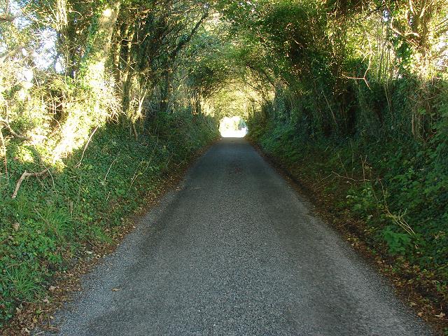 Burren Experience Walk