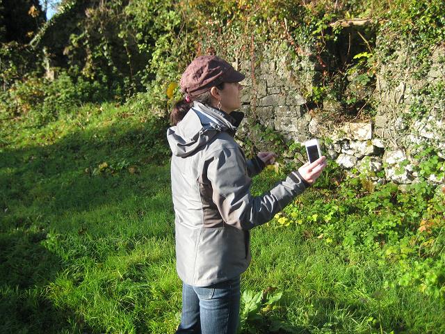 Burren Experience Walk