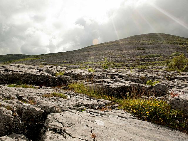 Mullaghmore Burren