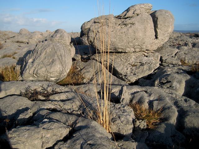 Mullaghmore Burren